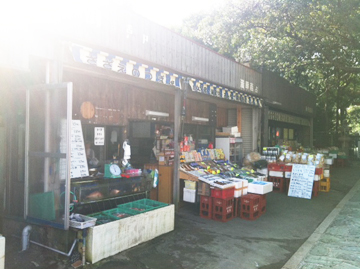 20111007-写真 (4).JPG